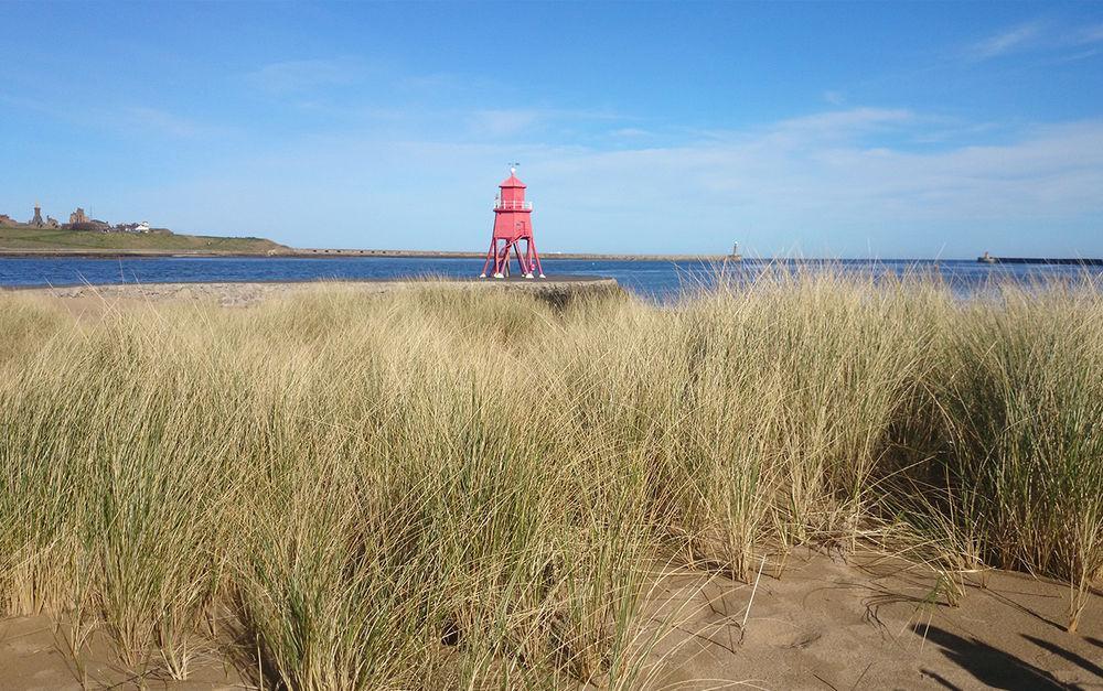 The Little Haven Hotel On The Beach South Shields Esterno foto